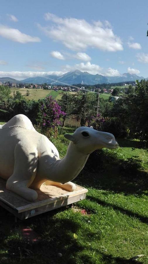 Agrotatry U Stachy Villa Bukowina Tatrzanska Ngoại thất bức ảnh
