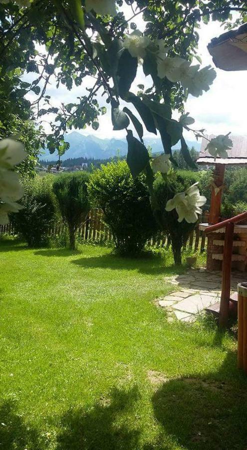 Agrotatry U Stachy Villa Bukowina Tatrzanska Ngoại thất bức ảnh