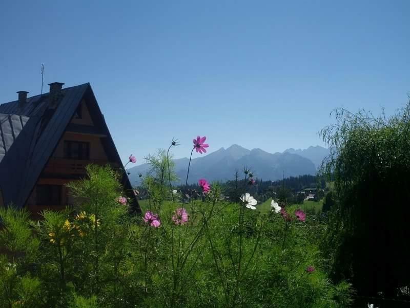 Agrotatry U Stachy Villa Bukowina Tatrzanska Ngoại thất bức ảnh